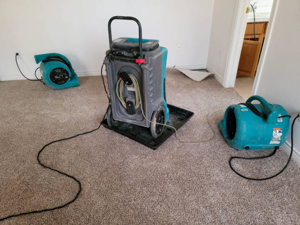 Best Flooded house restoration  in Hannahs Mill, GA