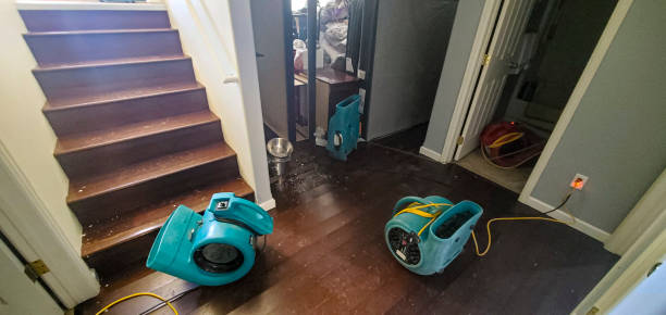 Best Water damage restoration near me  in Hannahs Mill, GA