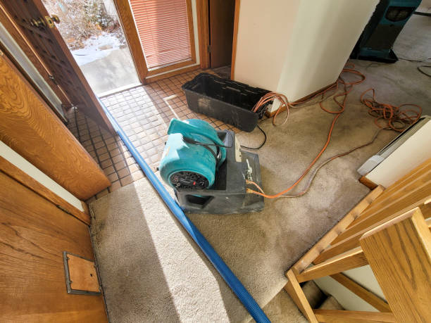 Best Local water damage restoration  in Hannahs Mill, GA