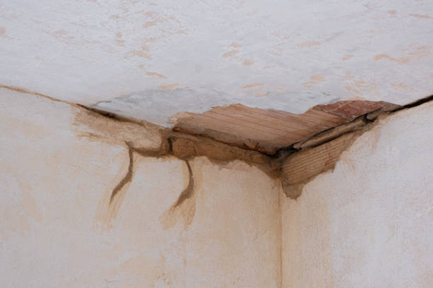 Carpet water damage restoration in Hannahs Mill, GA