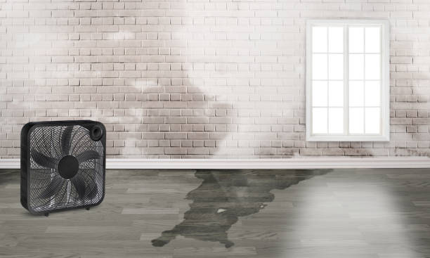Best Ceiling water damage repair  in Hannahs Mill, GA