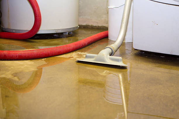 Best Local water damage restoration  in Hannahs Mill, GA