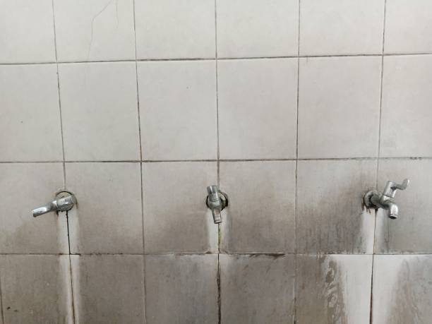 Best Water damage contractors near me  in Hannahs Mill, GA
