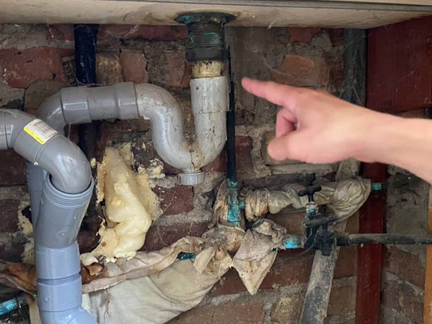 Best Basement water damage restoration  in Hannahs Mill, GA