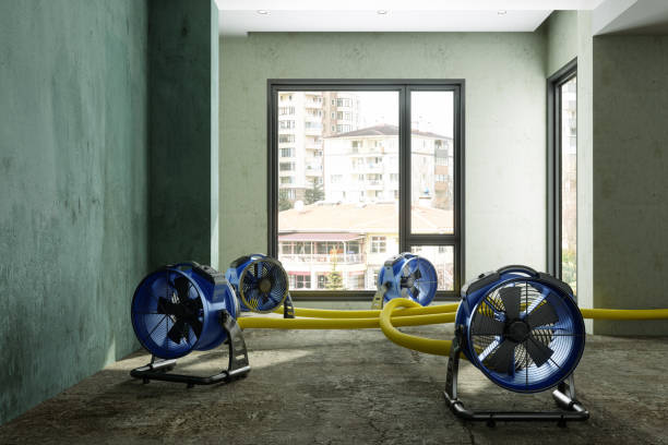 Best 24-hour water damage restoration  in Hannahs Mill, GA