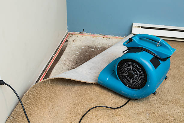 Best Water damage restoration near me  in Hannahs Mill, GA